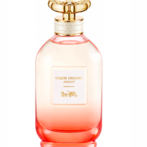 Coach Dreams Sunset Coach