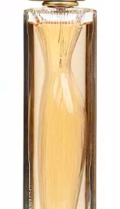 Organza Givenchy 100ml Edp Spray