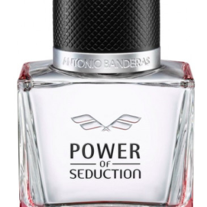 Power of Seduction Antonio Banderas para Hombres Tester