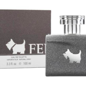 Perfume Ferrioni Grey Terrier Para Hombre De Terrier EDT 100ML